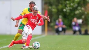 Prestianni não entra nos planos do Benfica e na Argentina tentam regresso