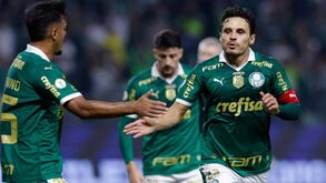 Palmeiras vence Bragantino em duelo de treinadores portugueses