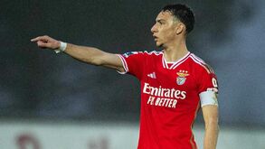 Francisco Domingues vai renovar com o Benfica