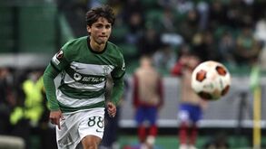 Estrela da Amadora tem acordo fechado com o Sporting para a transferência de Mamede