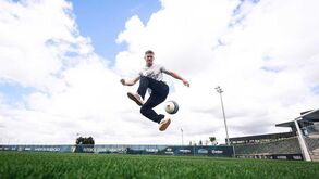 Van de Looi ao detalhe