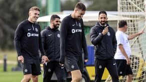 Os segredos do campeão: leão bebeu de vídeos dos adversários e até de séries de futebol... americano
