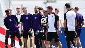 Mosquitos invadem treino da seleção alemã