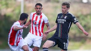 Luís Castro: «João Tomé está preparado para a Liga»