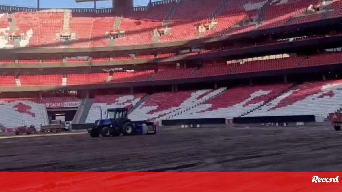 Assim está o 'relvado' do Estádio da Luz