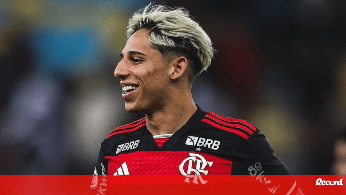 Dupla do Flamengo em vias de reforçar o Leixões