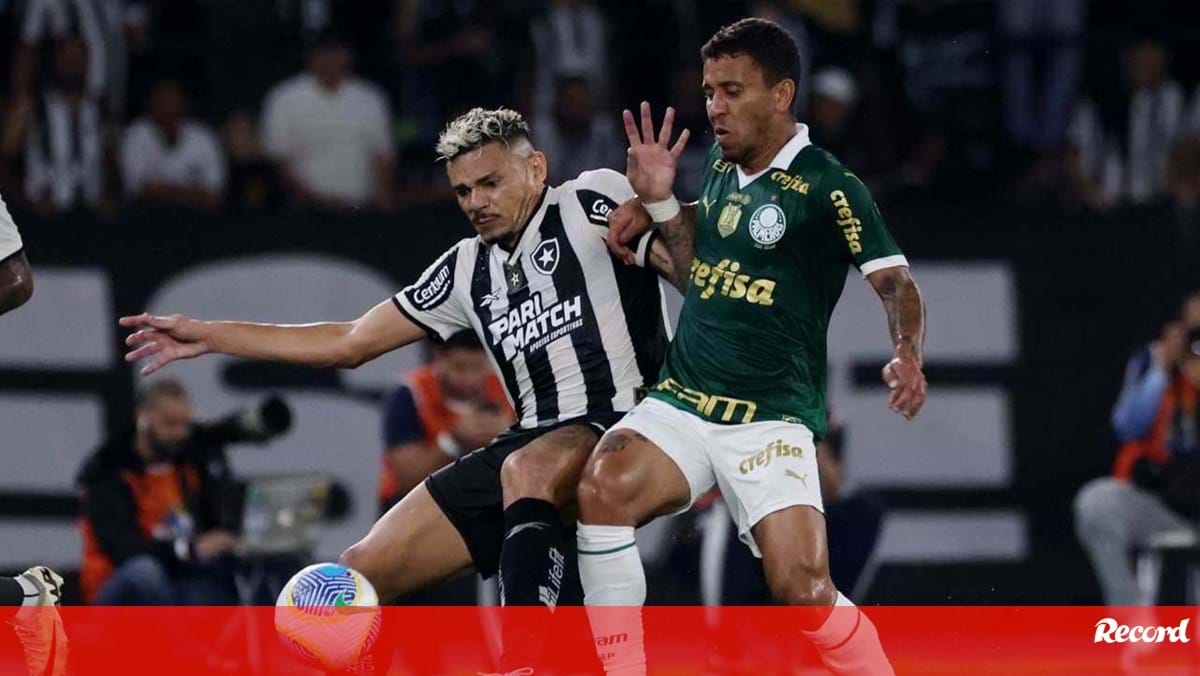 Botafogo vence Palmeiras e isola-se na liderança do Brasileirão