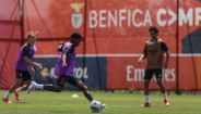Elogiado por Rui Costa, o reforço tem dado nas vistas no Seixal, onde tem falado com os novos companheiros, como Aursnes