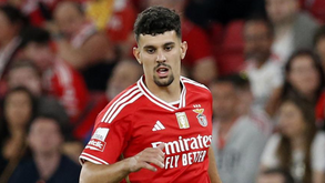 Tomás Araújo vai rejeitar ser quarta opção no Benfica