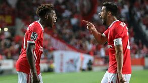 Nuno Tavares: «Não deram o devido valor a Pizzi no Benfica»