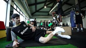Aí está o Sporting de volta ao trabalho: siga tudo ao minuto