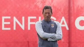 Benfica regressa à ação com o foco na reconquista
