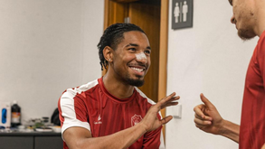 Galo voltou mais risonho