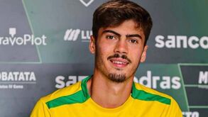 Mafra reforça centro da defesa com Pedro Pereira