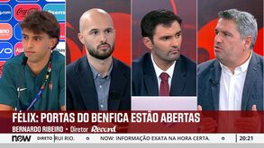 Bernardo Ribeiro e o negócio João Félix para o Benfica: «Atlético Madrid precisa de abater algum dinheiro às perdas»