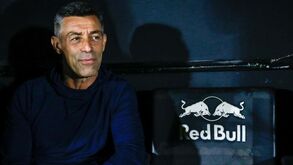 Pedro Caixinha passa a meta dos 100 jogos no Bragantino: «Nunca tive dúvidas sobre o projeto»
