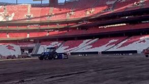 Assim está o 'relvado' do Estádio da Luz