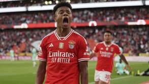 «Ponham Neres em campo e soltem-no»: Simões acredita na explosão do brasileiro