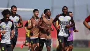 E ao segundo dia a bola já rolou no Seixal: reforços do Benfica continuam a mostrar serviço