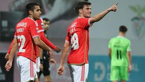 Benfica empresta Rafael Rodrigues ao AVS SAD