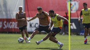 Intensidade no relvado e muita bola: as imagens de mais um treino do Benfica