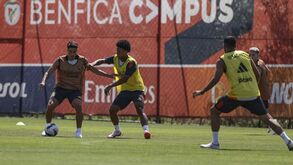 Tiago Gouveia entra nas contas de Roger Schmidt