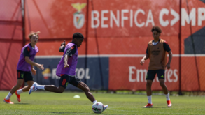 Pulmão de Barreiro impressiona