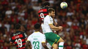 Cuiabá de Petit empata no reduto do líder Flamengo