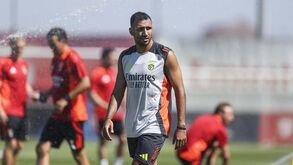 Pavlidis já é visto como a peça ideal no Benfica