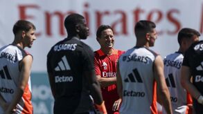 Roger Schmidt vai dissipar dúvidas nos jogos com Farense e Celta de Vigo