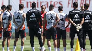 Novo Benfica mostra-se em Águeda: O que se pode esperar do primeiro onze de 2024/25