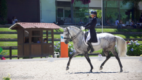 Cardiga Team no Campeonato da Europa