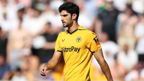 Gonçalo Guedes e Fábio Silva de fora dos convocados para o estágio do Wolves em Marbella