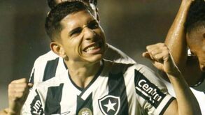 Palmeiras de Abel Ferreira e Botafogo de Artur Jorge lideram Brasileirão