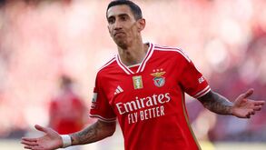 «Di María continua a ser um grande jogador, mas o Benfica tem de o saber poupar»