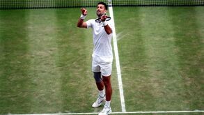 Djokovic procura frente ao campeão Alcaraz o oitavo título na 10.ª final em Wimbledon