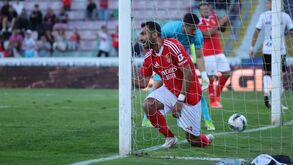 A análise à exibição dos reforços do Benfica frente ao Farense
