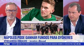 «O interesse em Gyökeres existe, mas o Nápoles nunca chegará aos 100 M€ da cláusula de rescisão»