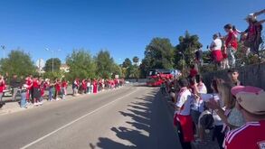 «Só queremos o Benfica campeão»: festa na chegada do autocarro das águias a Águeda