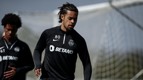 Valladolid quer Koba Koindredi