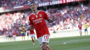 Adjunto de Schmidt 'confirma' continuidade de Di María no Benfica: «Cá te esperamos, campeão»