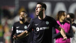 Os planos do Sporting para Gonçalo Inácio 