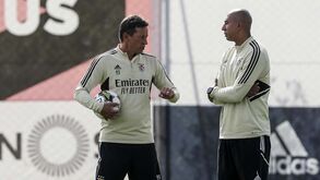 Luisão ausente com baixa médica