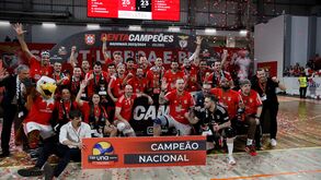 Benfica defronta campeão espanhol na 1.ª ronda de acesso à Liga dos Campeões