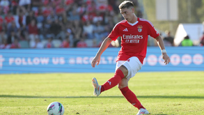 Rollheiser contrai lesão no ligamento do joelho esquerdo