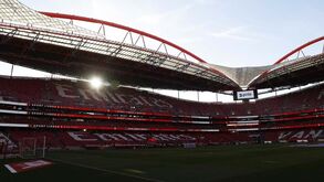 Revisão dos estatutos no Benfica: texto único considerado 