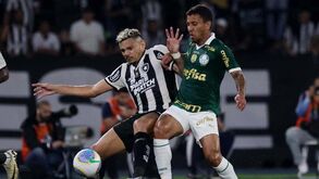 Botafogo vence Palmeiras e isola-se na liderança do Brasileirão