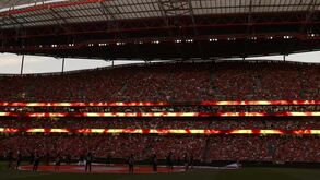 Jaime Antunes: «Gostaríamos de aumentar o Estádio da Luz até 70 mil lugares»