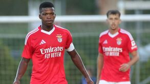 Jogo com Almería: Benfica parte de Beja para Genebra