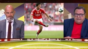 João Malheiro: «Não é bom João Neves sair por estes valores, mas Rui Costa nunca disse que só saía pela cláusula»